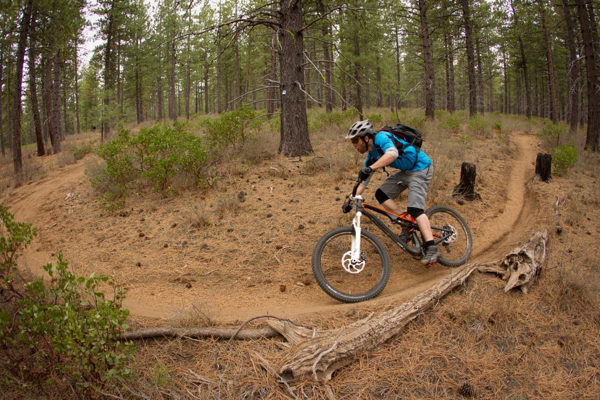 forest park mountain biking